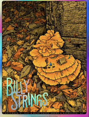 Card image top