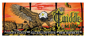 Card image top