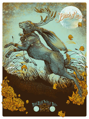 Card image top