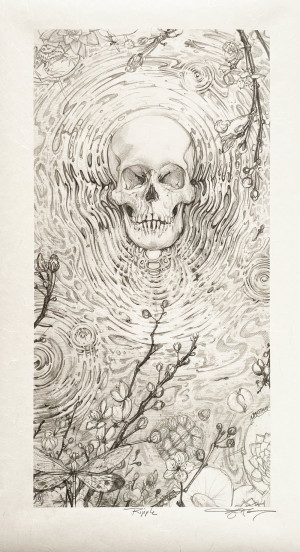Card image top