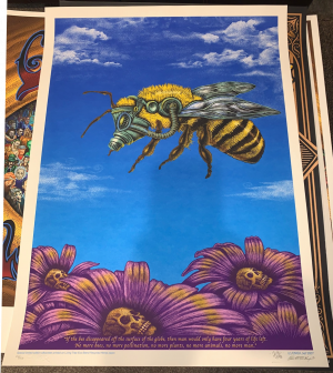 Card image top