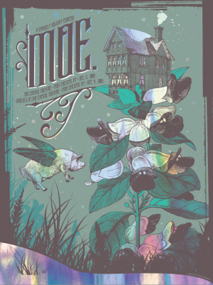Card image top