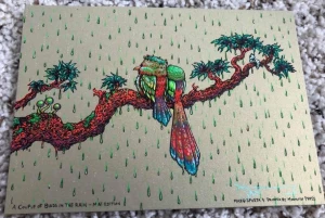 Card image top