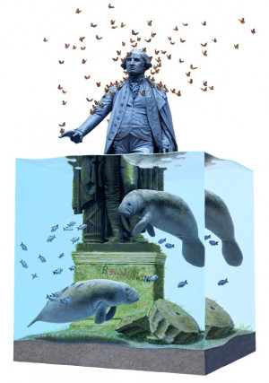 Card image top