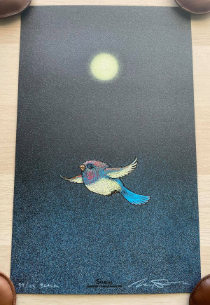 Card image top