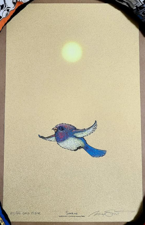 Card image top
