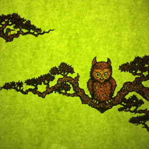 Card image top