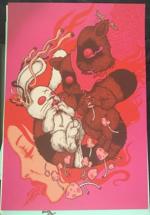 Card image top