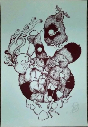 Card image top