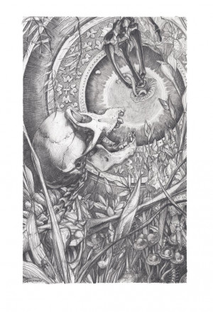 Card image top