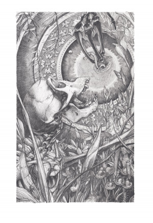 Card image top