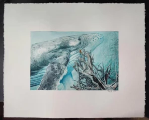 Card image top