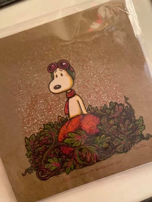 Card image top