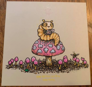 Card image top