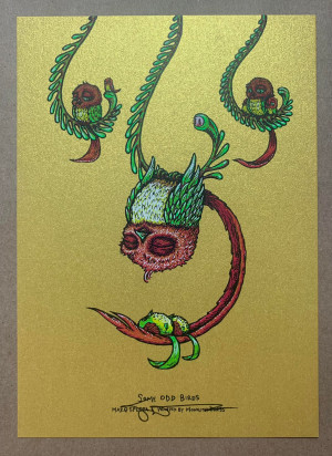 Card image top