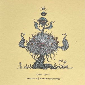 Card image top