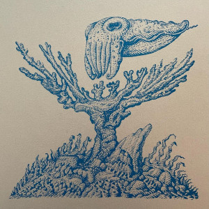 The Cuttlefish 21 Welker
