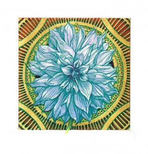 Card image top
