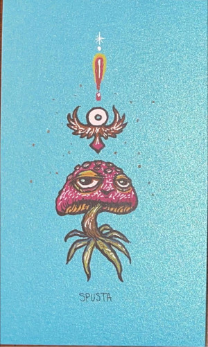 Card image top