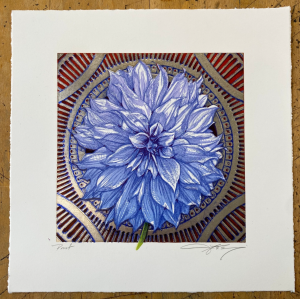 Card image top