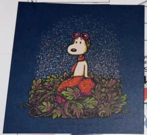 Card image top