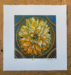 Card image top