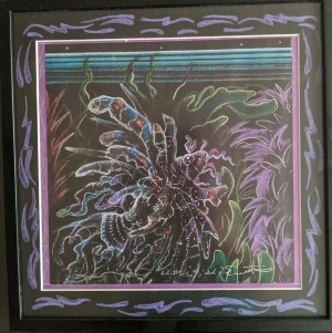 Card image top