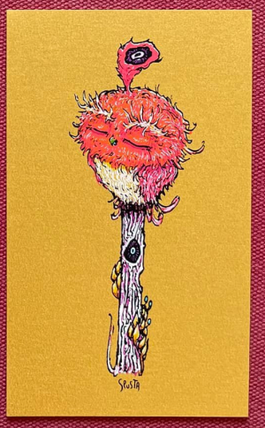 Card image top