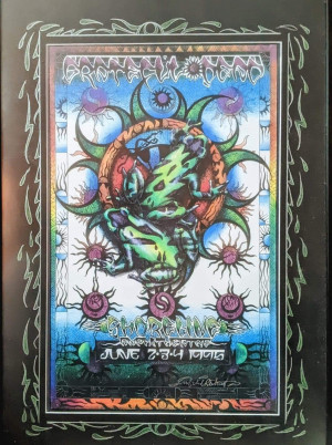 Grateful Dead Mountain View 95 Everett
