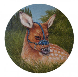 Card image top