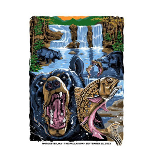 Card image top