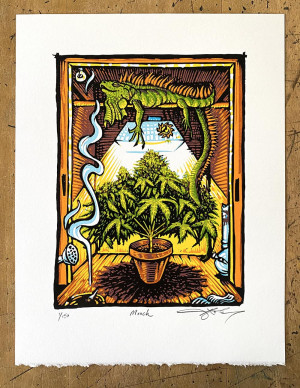 Card image top
