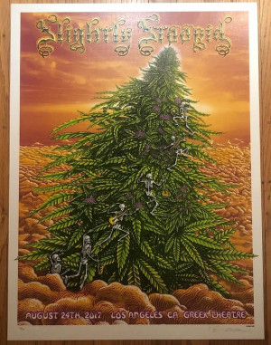 Card image top
