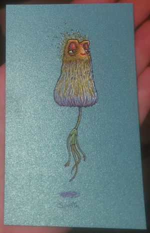 Card image top