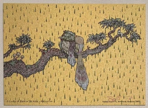 Card image top