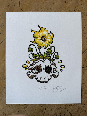 Card image top