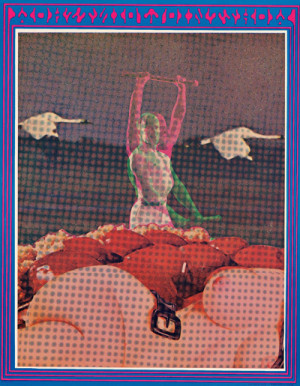 Card image top