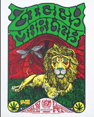 Card image top