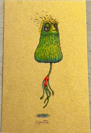 Card image top