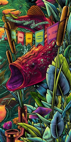 Card image top