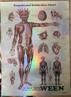 Card image top