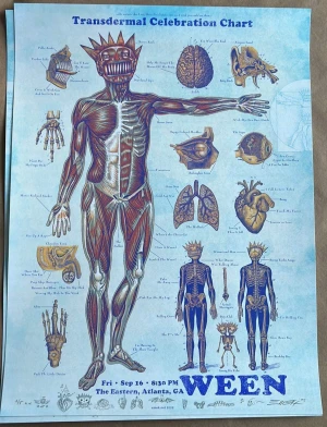 Card image top