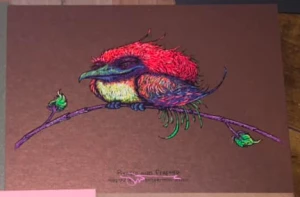Card image top