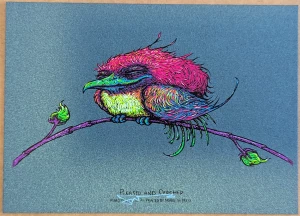 Card image top