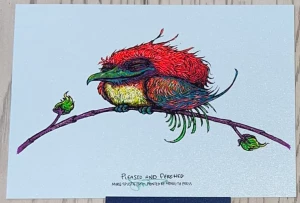 Card image top