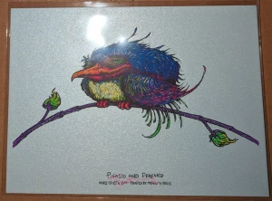 Card image top