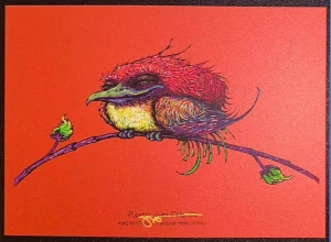 Card image top