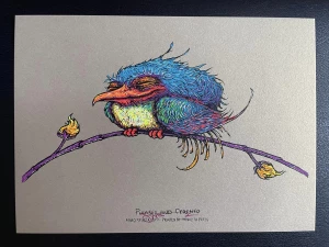 Card image top