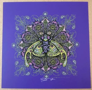Card image top