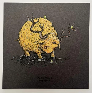 Card image top
